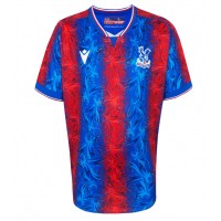 Camiseta Crystal Palace Primera Equipación Replica 2024-25 mangas cortas